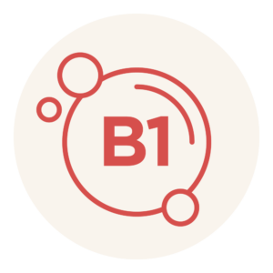 bib actifs picto vitamine b1