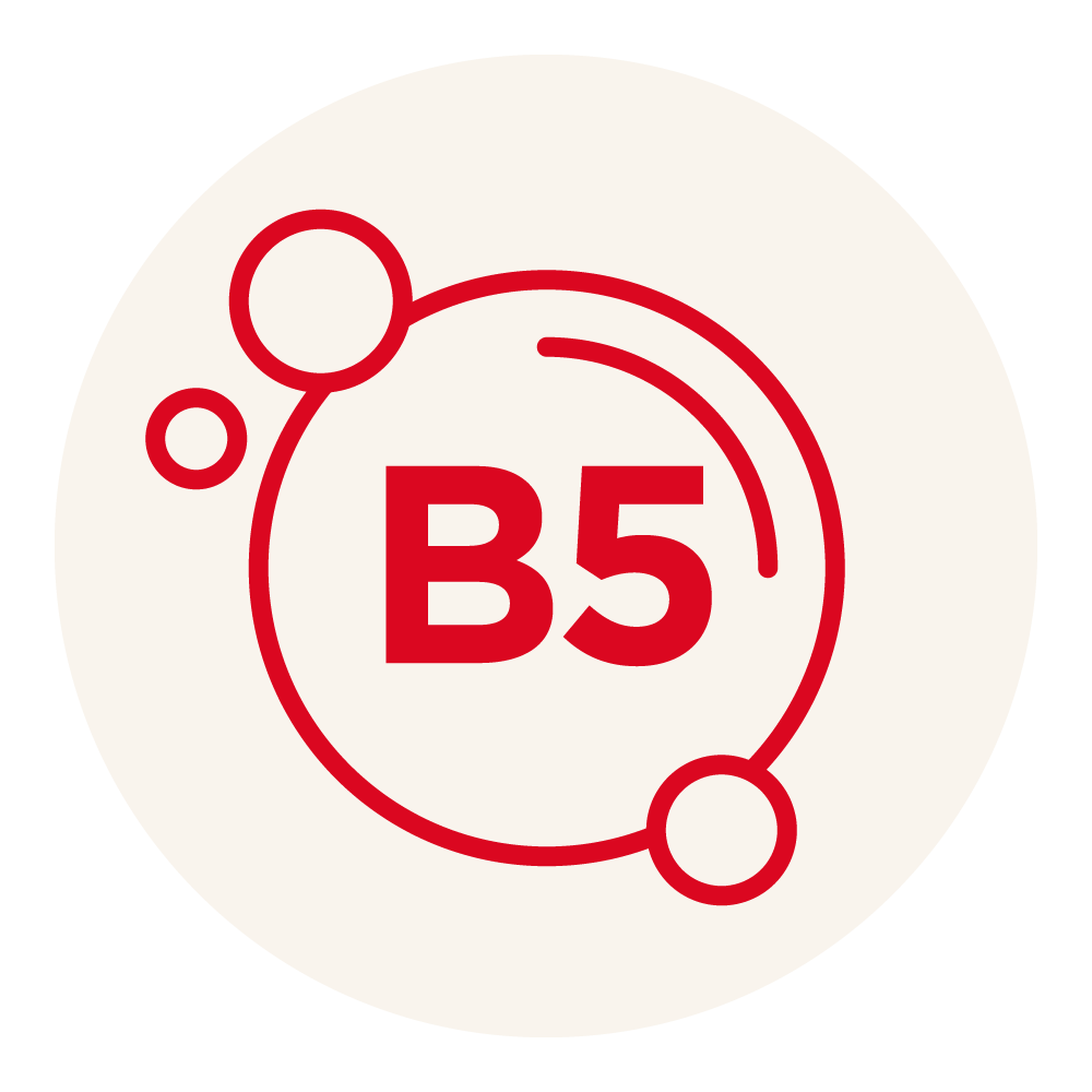 bib actifs picto vitamine b5