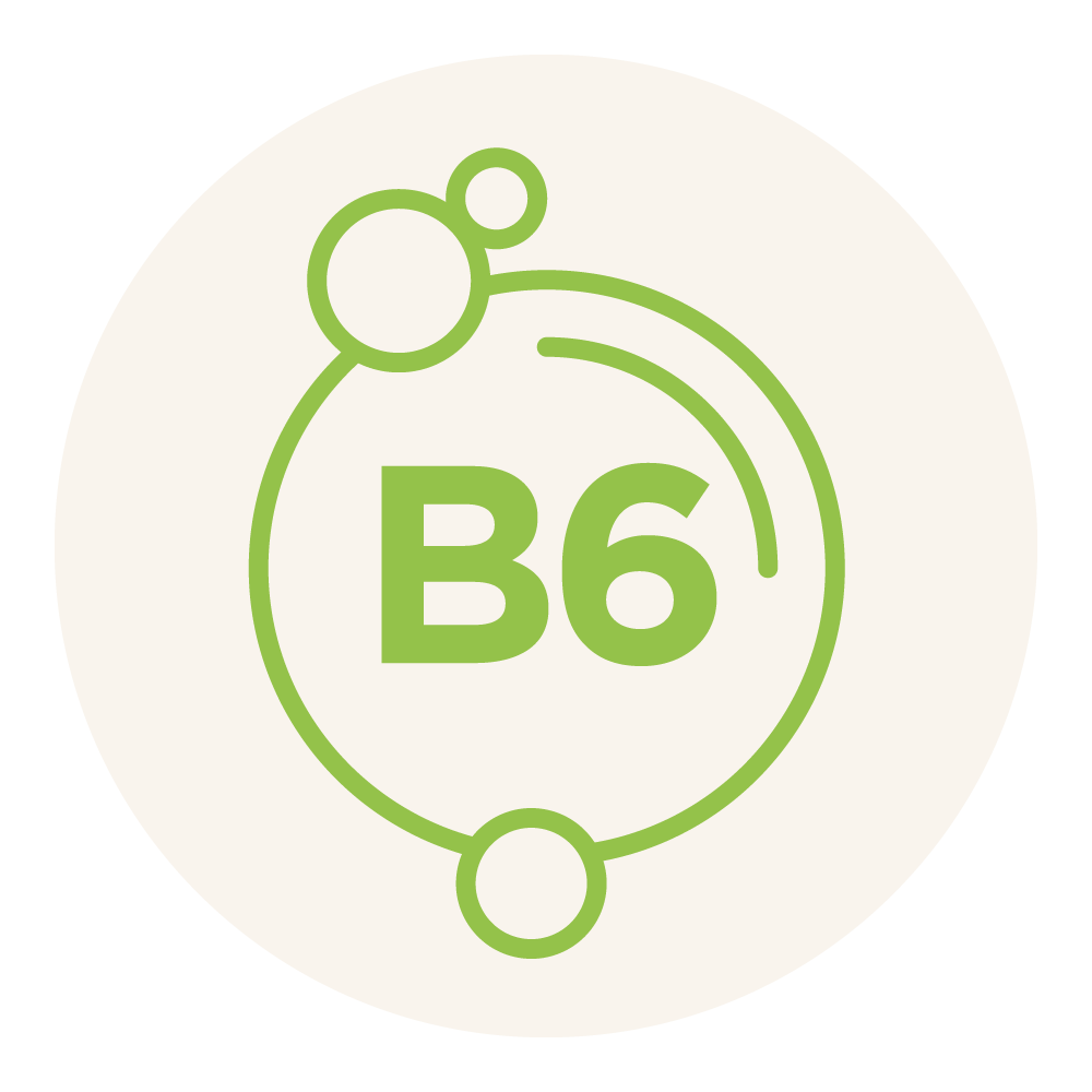 bib actifs picto vitamine b6