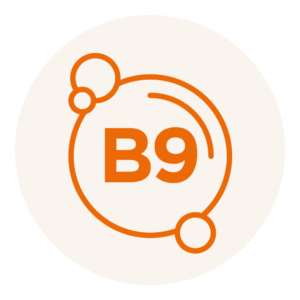 bib actifs picto vitamine b9