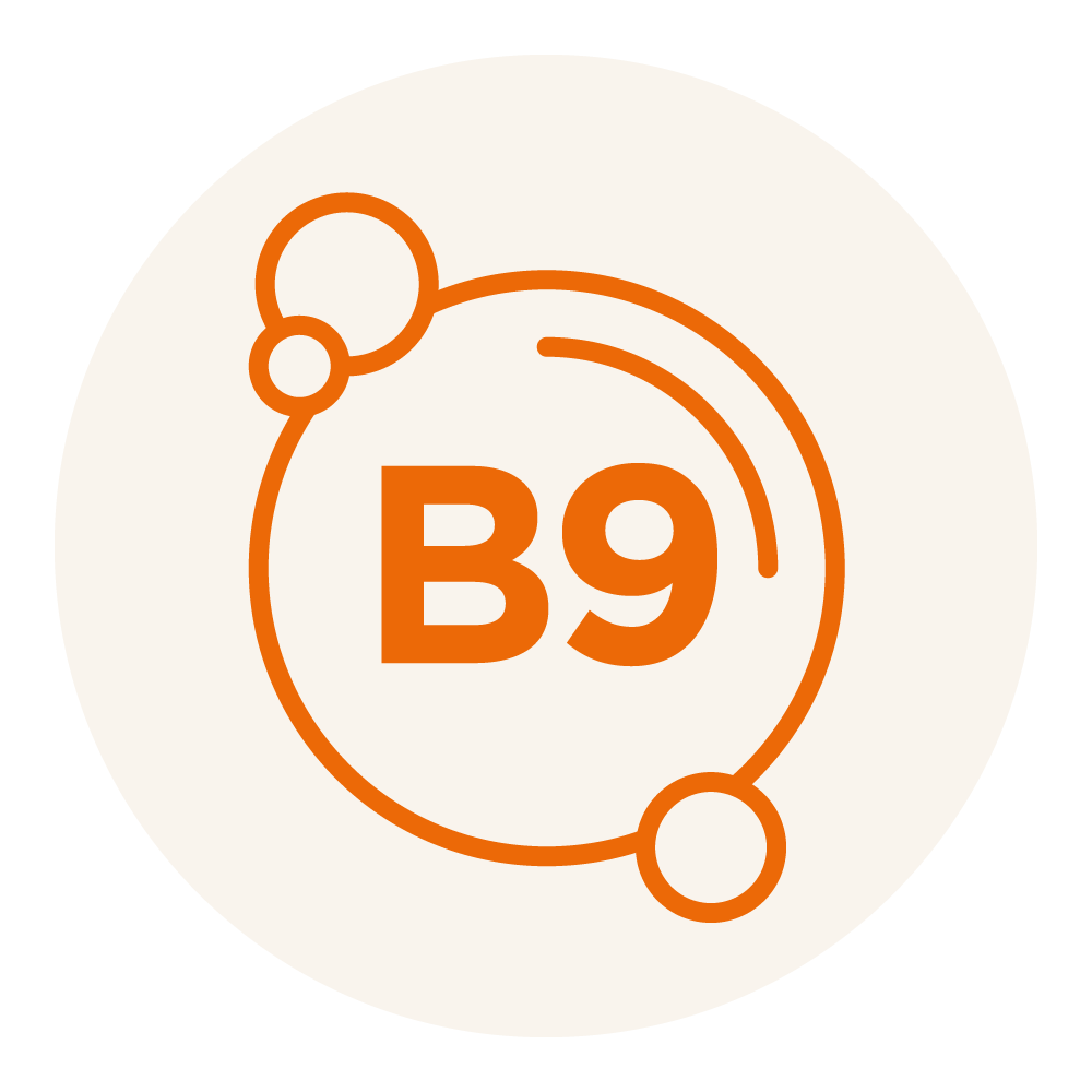 bib actifs picto vitamine b9